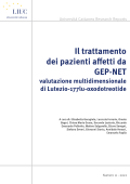 cover Università Cattaneo Research reports  n.11